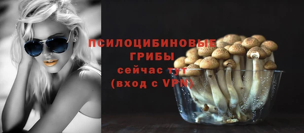 гидра Мегион