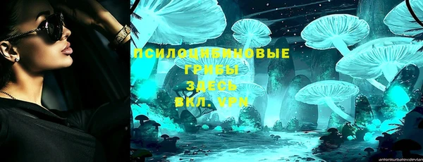 гидра Мегион