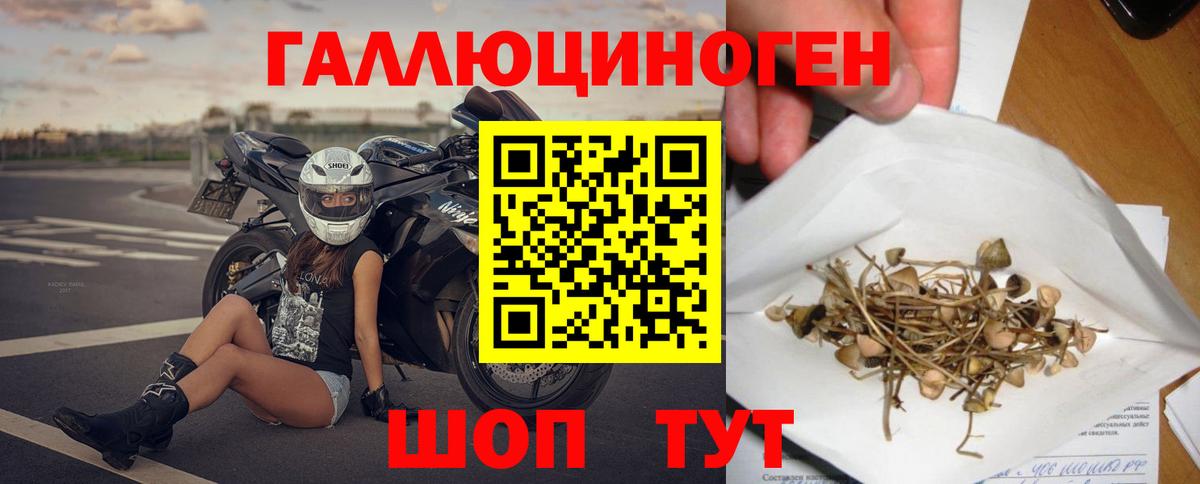 Галлюциногенные грибы Cubensis  Вход с VPN  Геленджик 