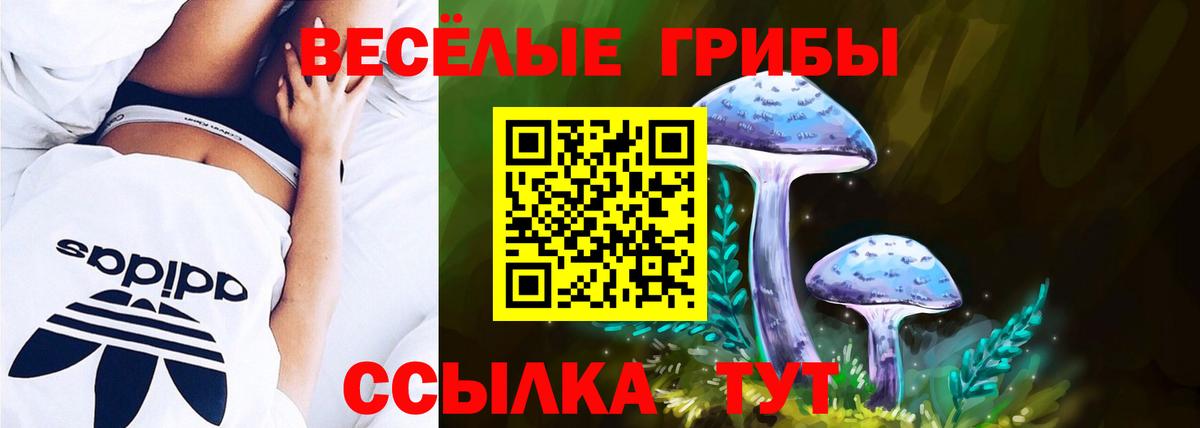 Псилоцибиновые грибы Cubensis Геленджик